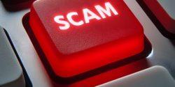 Featured Image for Small business scams